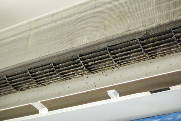Best Air Duct Cleaning Near Me  in Forest Ranch, CA